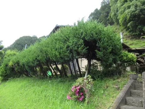 Oaza Kiriyama, Koaza Kusabata (Kasagi Station) 2 million yen - Image 3