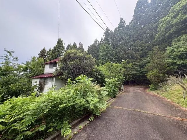 For those looking for investment properties!