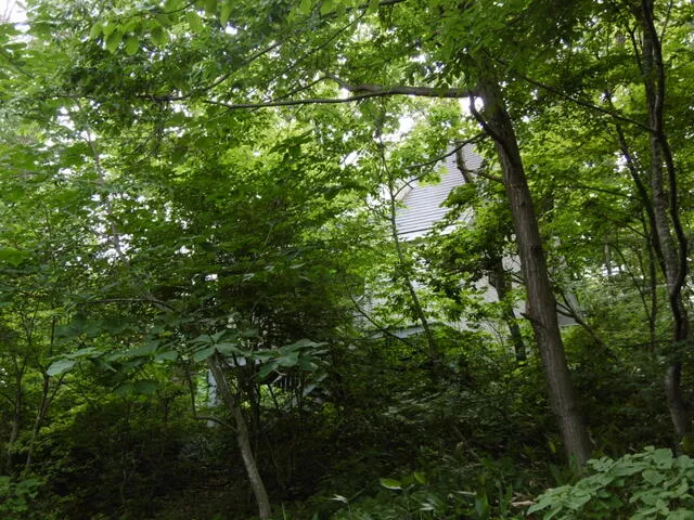 Fukushima City, Niizakasaka, Kanahorisawa (Niizaka Station) Single-story building 3LDK
