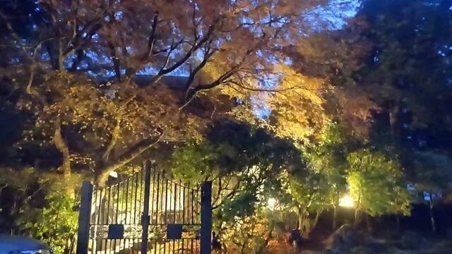 Izu City Shimozawa 2-story building 3DK