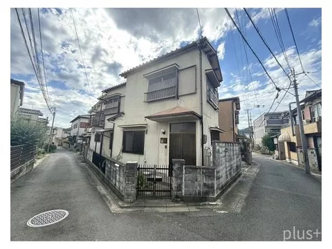 A family’s peaceful daily life opens up on a corner lot.