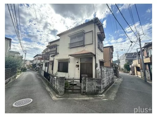 A family’s peaceful daily life opens up on a corner lot.