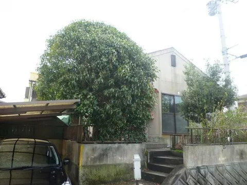 Nakatsu City, Oaza Goma (Higashi Nakatsu Station), single-story building, 3LDK