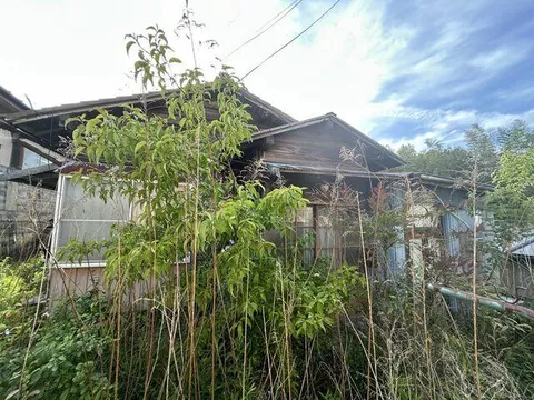 Structure: Wooden/2-story