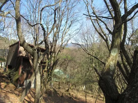 Kitayama 1.5 million yen