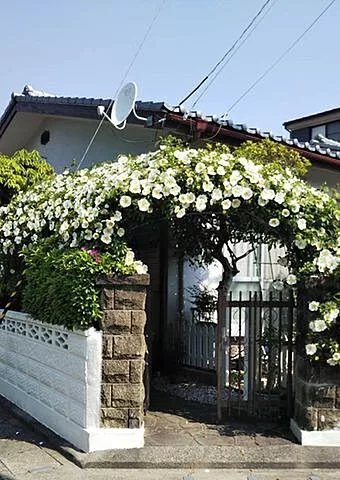 Used single-family home, Tokushima Prefecture, Tokushima City, Shinhamahoncho 1-chome