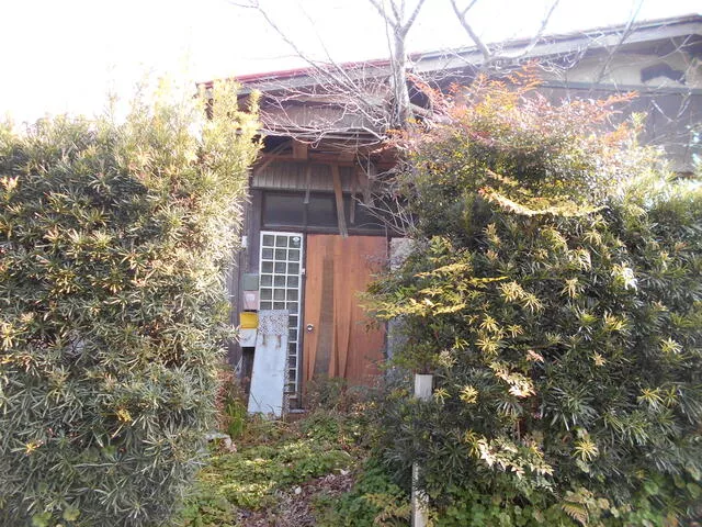 Mobara City, Kamenokichi (Mobara Station), single-story building, 3K