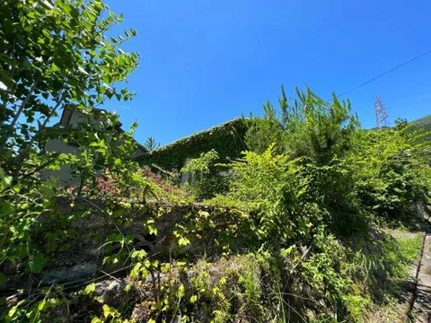 Yayado, Otsu-city (Horai station) Single-story building, 1LDK

3 million yen