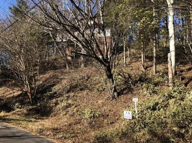 Saku City, Uchiyama (Sakudaira Station) 2-story 3LDK