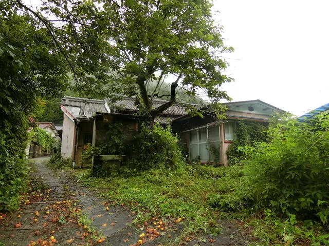 Shinshiro City, Kawai, Uchikaizu (Mikawa Kawai Station) Single-story building 2SLDK