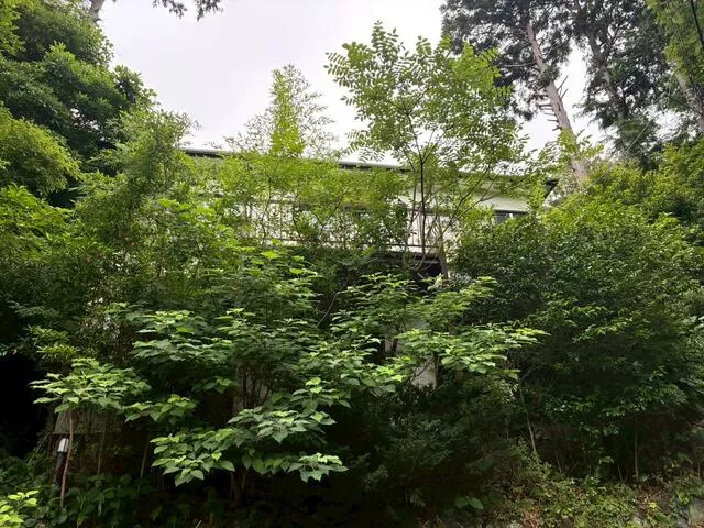 Ito City Usami (Usami Station) single-story building 2LDK