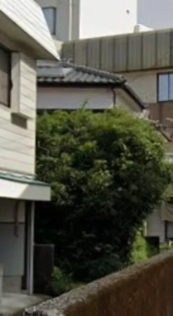 Kochi City, Higashi Ishidate-cho (Kamimachi 5-chome Station), 2-story, 4K