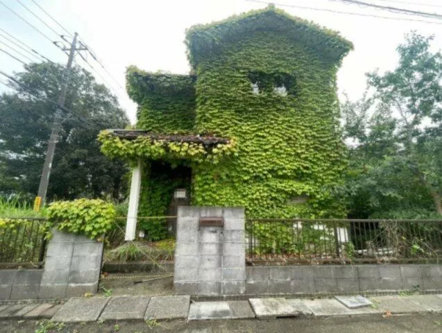 Oami Shiratori City Kamitani Shinden (Fukubawa Station) 2-story 3LDK
