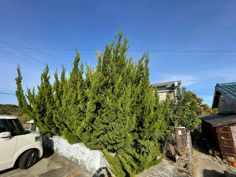 Shimacity, Daiō Town, Nakiri 2-story building 9DK
