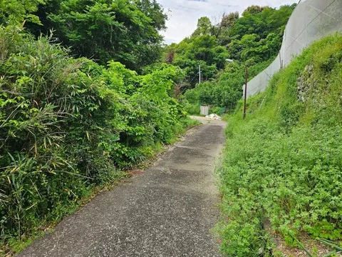 Arita-gun, Aritagawa-cho, Oaza Kankiji (Fujinami Station) Single-story building 2DK