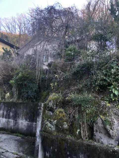 Izu City, Kamishiraiwa (Shuzenji Station) single-story 3DK