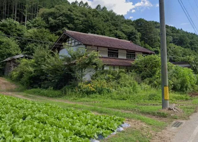 Minami-Saku District, Kita-Aiki Village, Shimo-Arai (Koumi Station) Single-story building 3DK