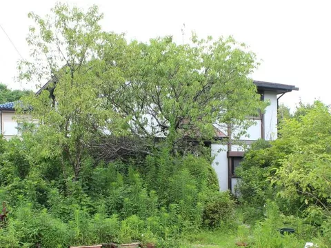 Minami Yokokawa 7.3 million yen