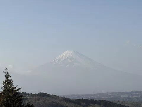 Field 2.7 million yen