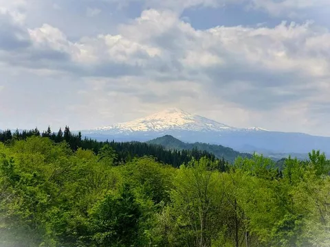 A secret base in nature with a view of Mount Chokai - Image 2