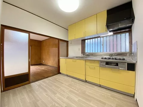 Immediate occupancy available, interior and exterior renovation, south-facing, two-story