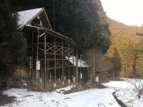 Used single-family home, perfect for tree house enthusiasts, natural meditation