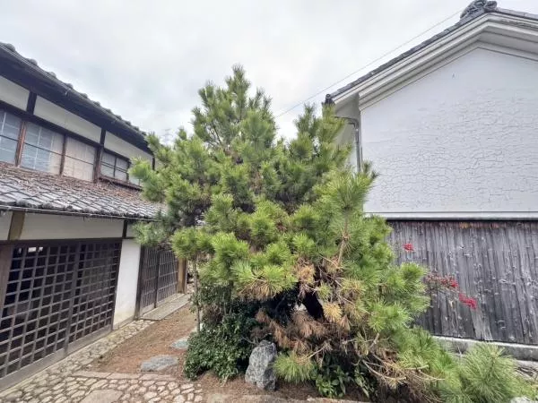 Musashijima-cho, Saga Mizuoi, Ukyo Ward, Kyoto City (Hozugawa Station) Single-story 7LDK