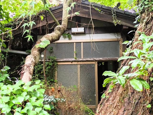 Nagato City Misumi Shimo (Nagato Misumi Station) single-story building 3LDK