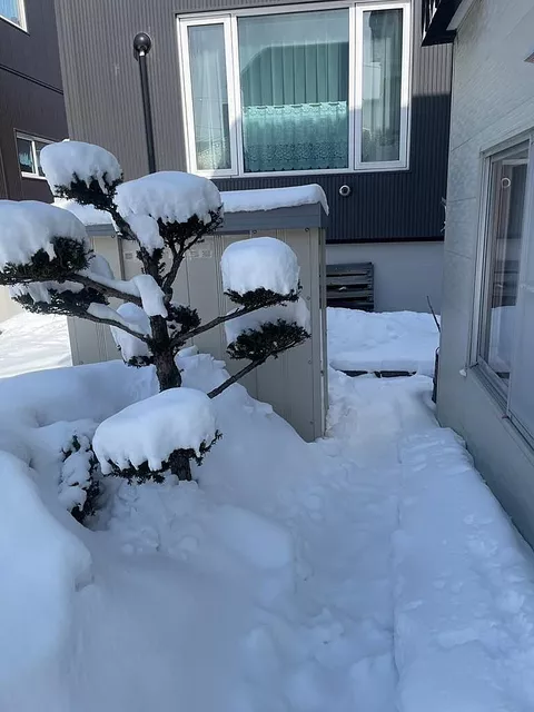 Used single-family home, Shin-Kotoni 8-jo 11-chome, Kita-ku, Sapporo City, Hokkaido - Image 5
