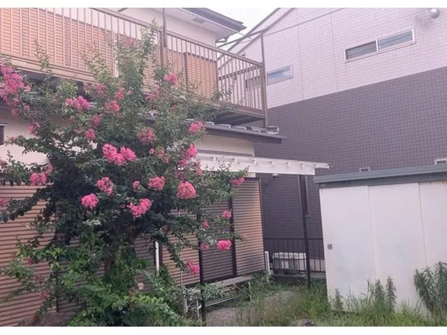Nakatsu 11.8 million yen