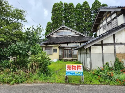 Mitsuzuka Shin 2,300,000 yen