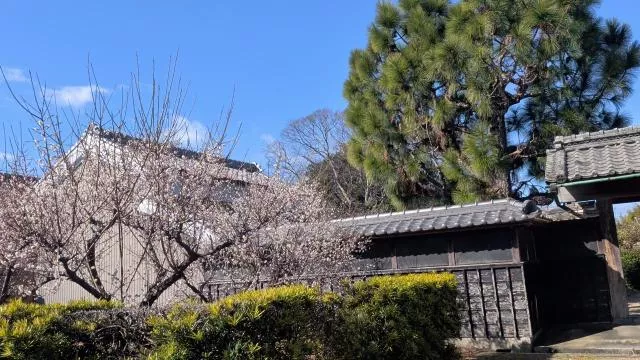 Matsusaka City Kobunae-cho (Rokken Station) Single-story building 15DK